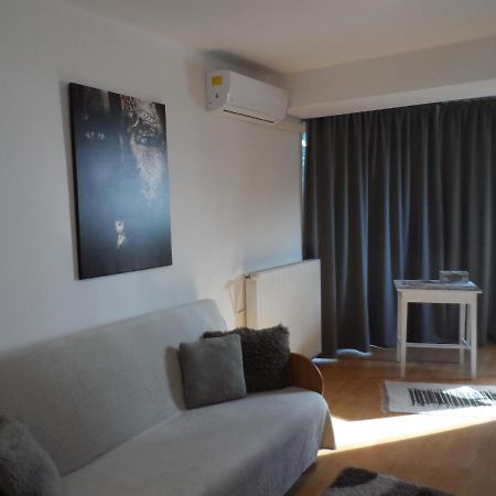 M@D Apartment 蒂米什瓦拉 外观 照片